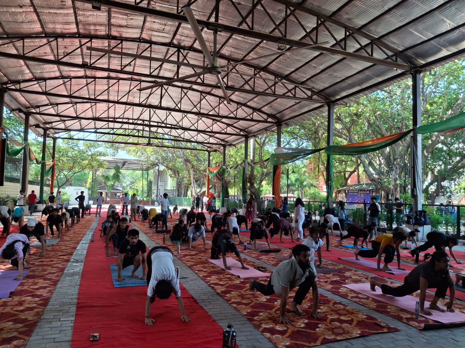 Yoga and Meditation